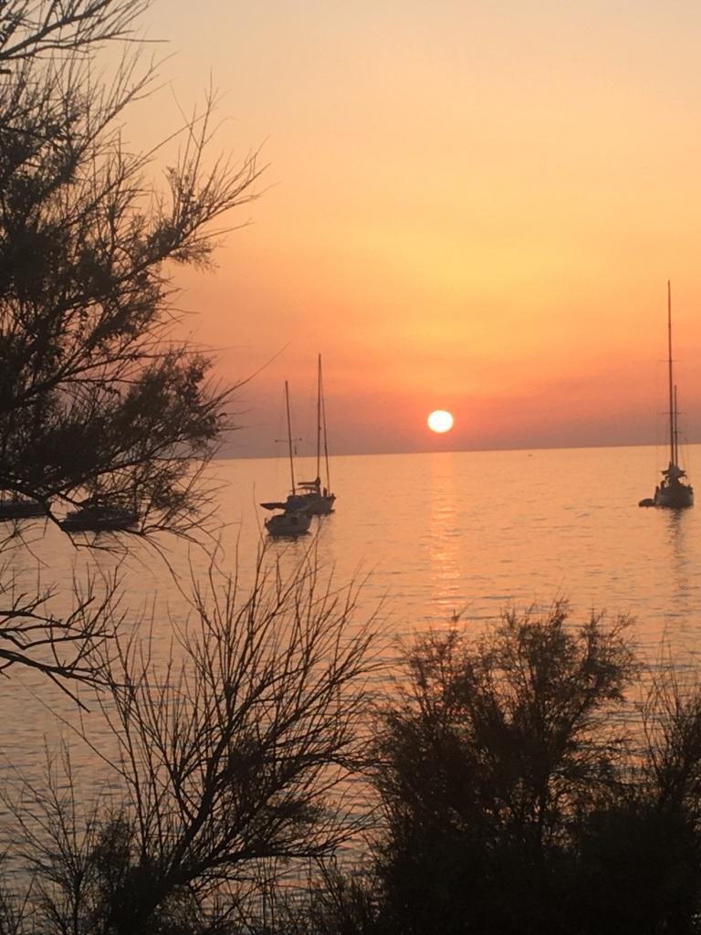 Sunset