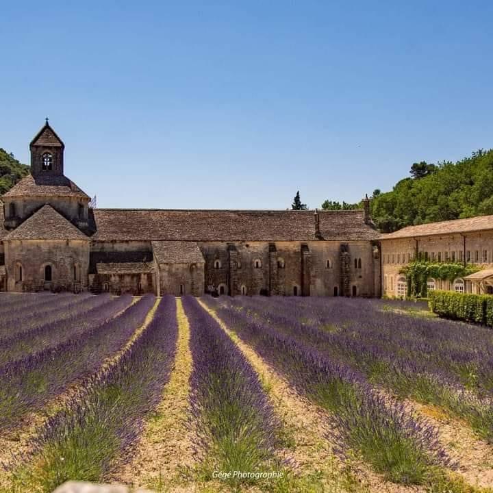 la lavande à GG