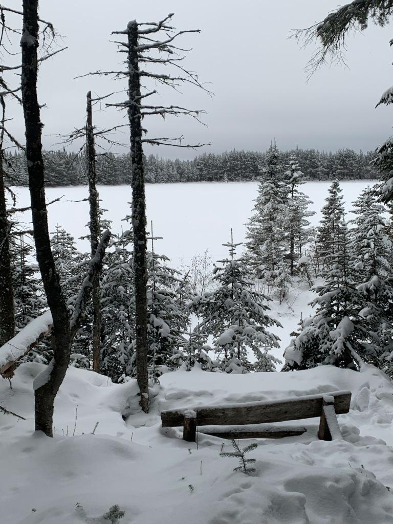 banc public
