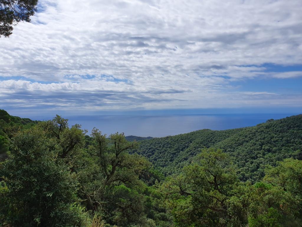 La mer, au loin