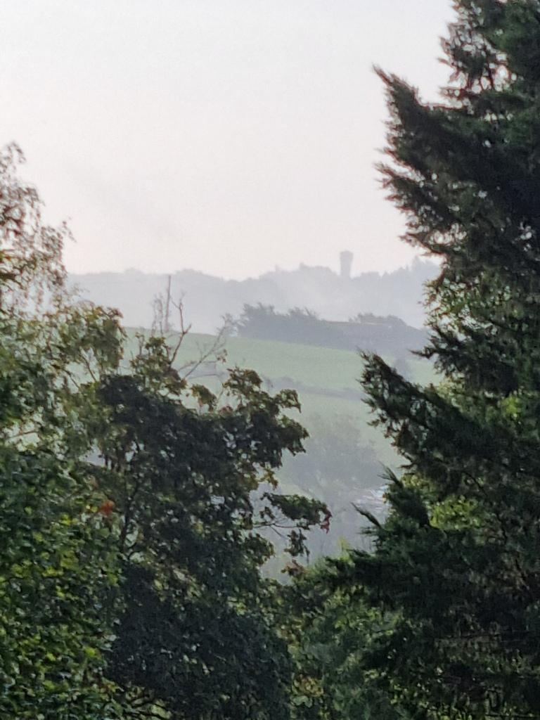Jardin dans la brume
