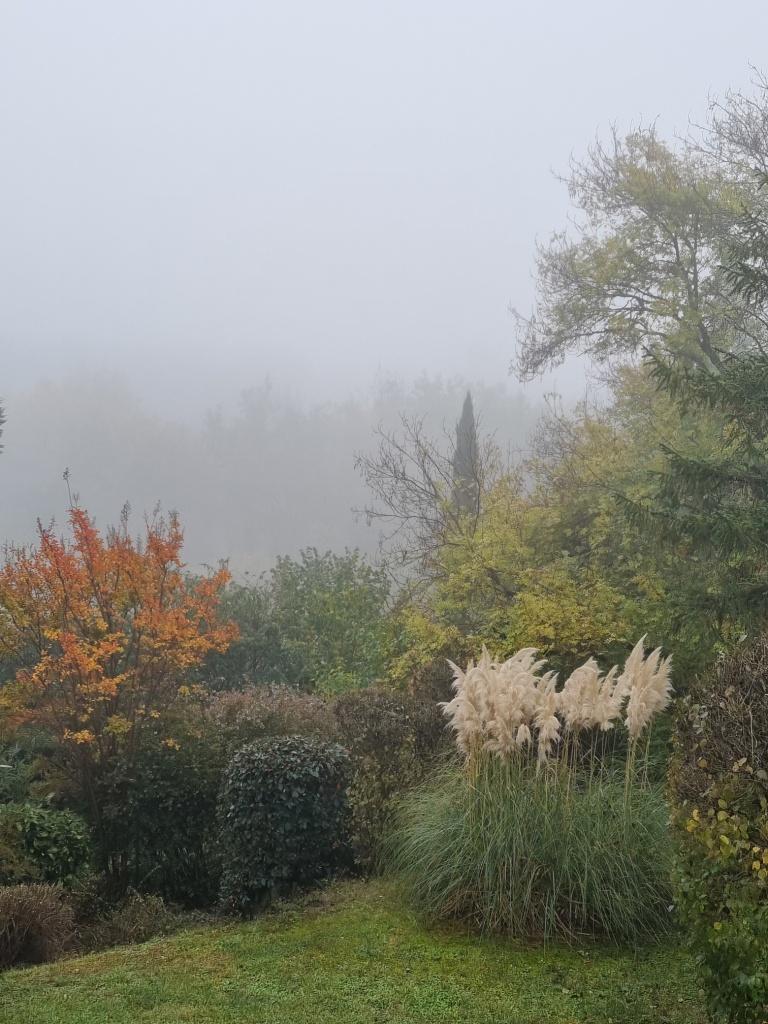 Brumette