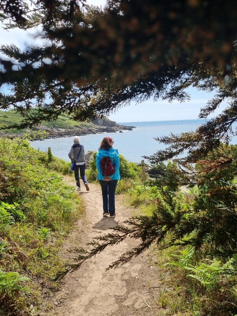 Promenons-nous dans les bois