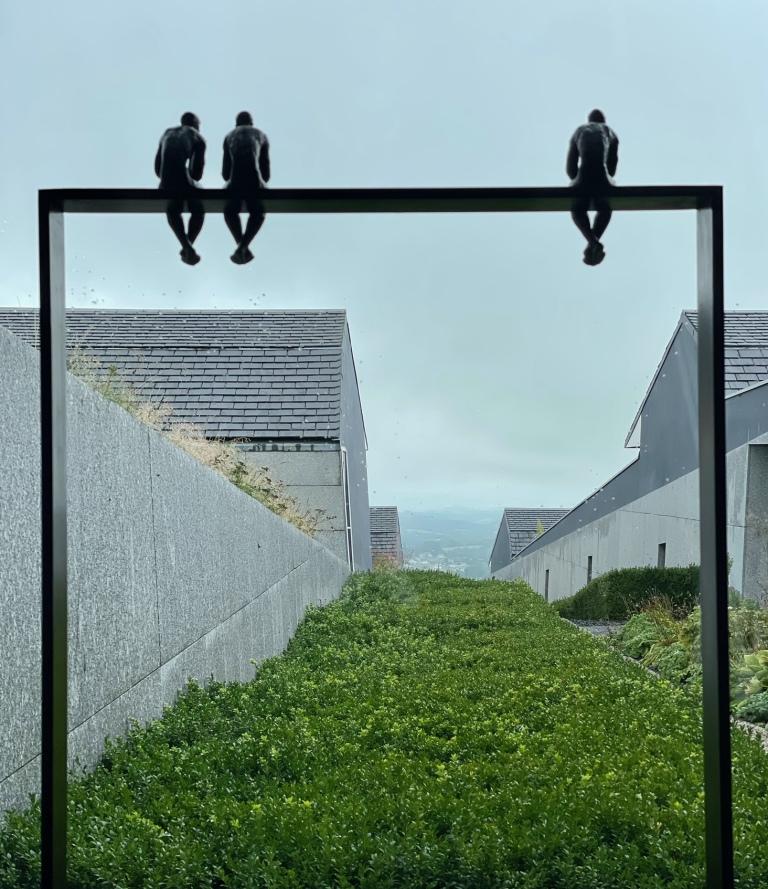 drôles d'oiseaux