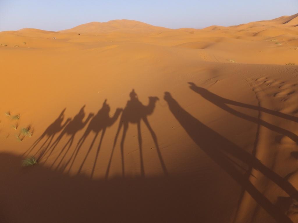 La caravane passe